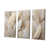 Wrapped Canvas