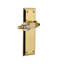 New York Plate Privacy (Bed & Bath) with Parlour Lever-186901784-186901795