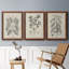 Antique Black and White Botanical VII - Ensemble de 3 reproductions d'art sur toile-282180059-282180063