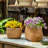 Whaleyville Pot Planter-827271329