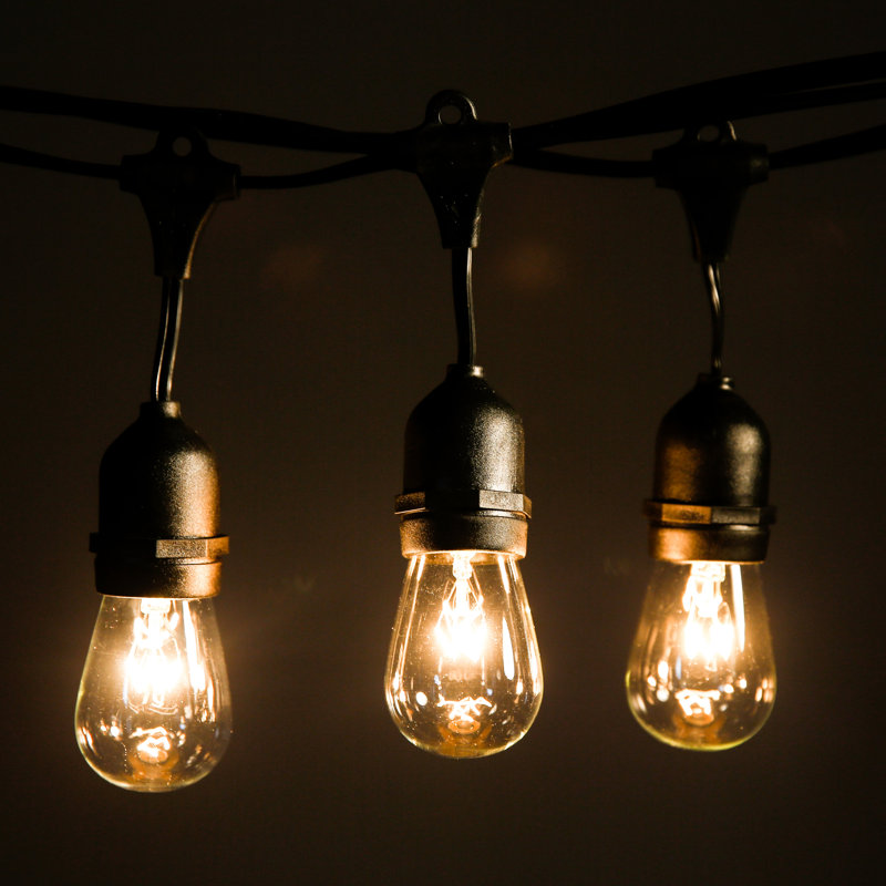 100' Outdoor 50 - Bulb Standard String Light