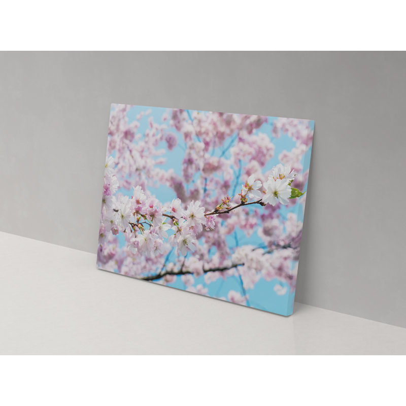 Canvas Collection Bonsai Blossom - Wrapped Canvas Print, 36cm H x 52cm W x 4cm D