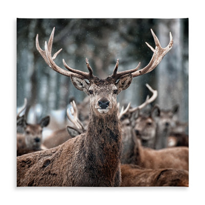 Stags Rustic Animals Tablecloth: Indoor/Outdoor Home Decor