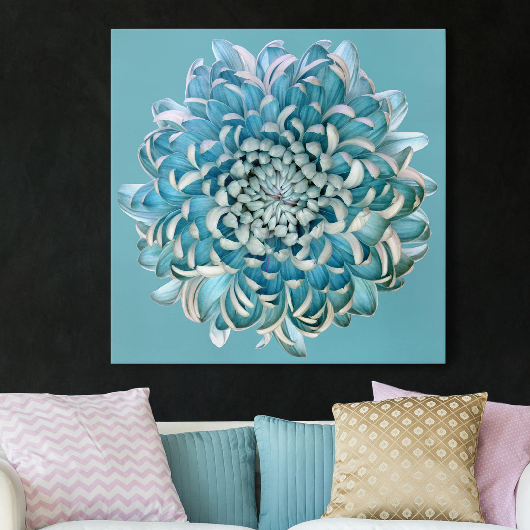 Leinwandbild Blaue Chrysantheme