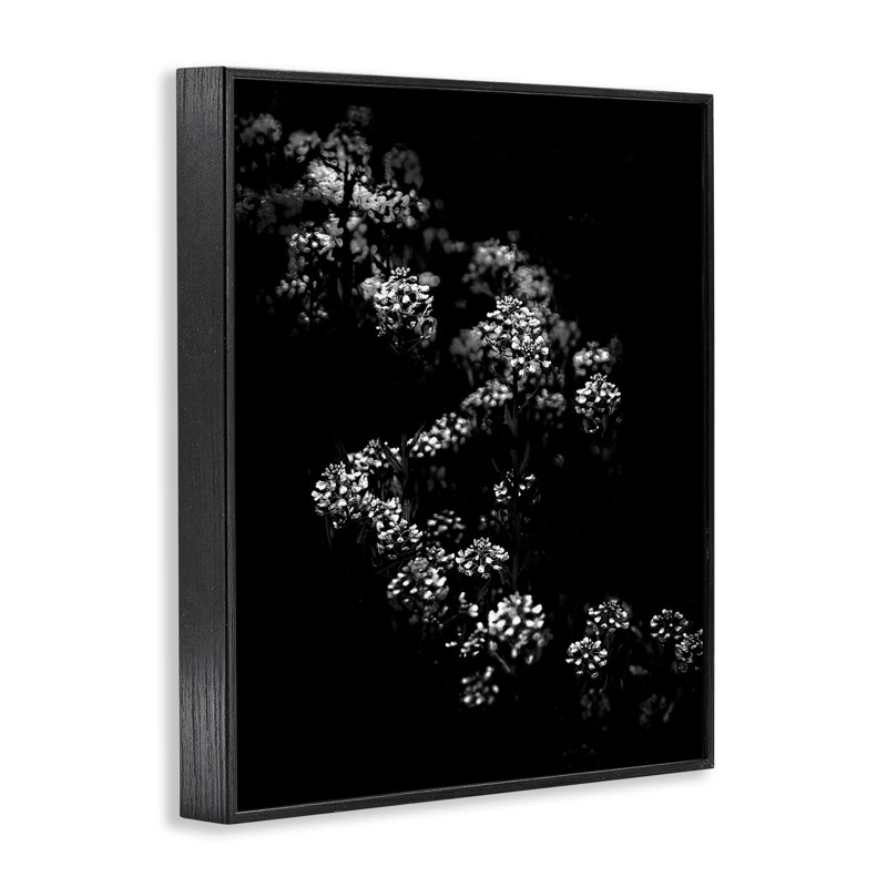  Curved Blossom Line Framed Giclee Art by Brian Carson, Black, 14" H x 11" W
