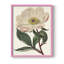 «Pink Floral Mix VII», reproduction encadrée - bois massif-947668006-947668001