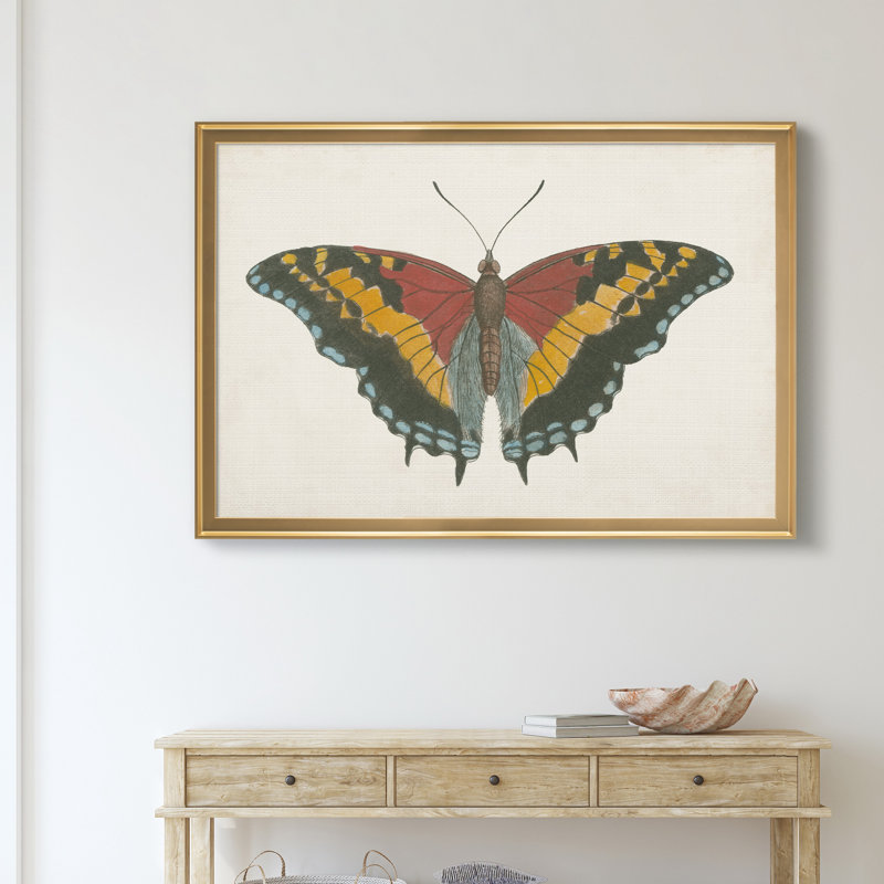 «Beautiful Butterfly IV», impression sur toile encadrée, Doré, H 18,5 po x l 24,5 po x P 1,5 po