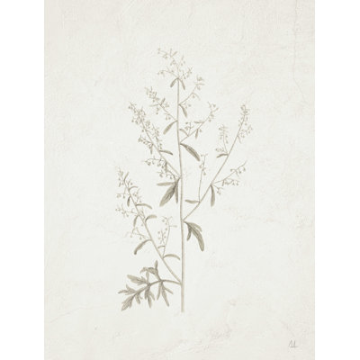 Cadeaux Camaryn de la prairie II