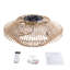 Ventilateur de plafond Ahquan