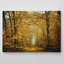 "Soon Fall Leaves" par Lars Van de Goor, reproduction de photo sur toile tendue-20338521