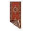 Oriental Area Rug in Rust