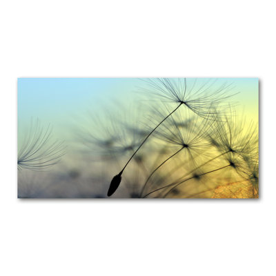 Dandelion Seeds - Wrapped Canvas Print