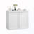 Double Doors Storage Cabinet with Adjustable Shelves