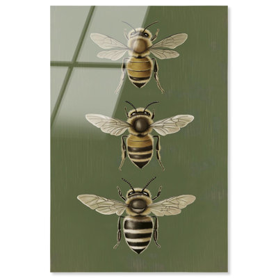 «Anatomy of the Bee», art mural en verre acrylique sans cadre ultra-lustré par Art Remedy, prêt à accrocher, 30 x 45