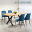 Ensemble de chaises de salle à manger, chaise d'appoint en velours-107092058-107092064