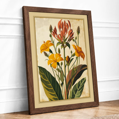 Protea Study Botanical - Framed Print