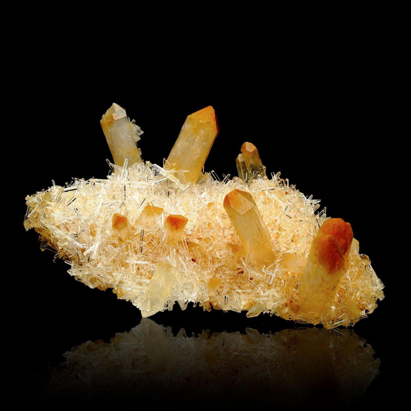 Mango Quartz avec Halloy site Ver. V
