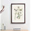 Yellow-Crown Warbler Birds by John James Audubon - Picture Frame Art Print-55641312-55641314