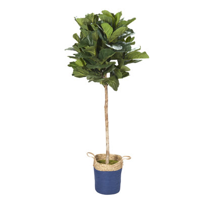84'' Faux Fiddle Leaf Fig Tree in Wicker/Rattan Basket