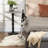 Bed Assist Rail