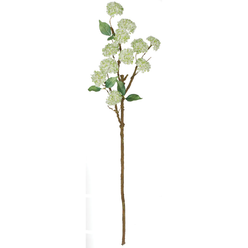 Branche à fleur boule