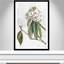 «Pearly Beauty II» par Eva Watts-129313468-129313469-129313487