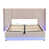 Beige is out of stock selected