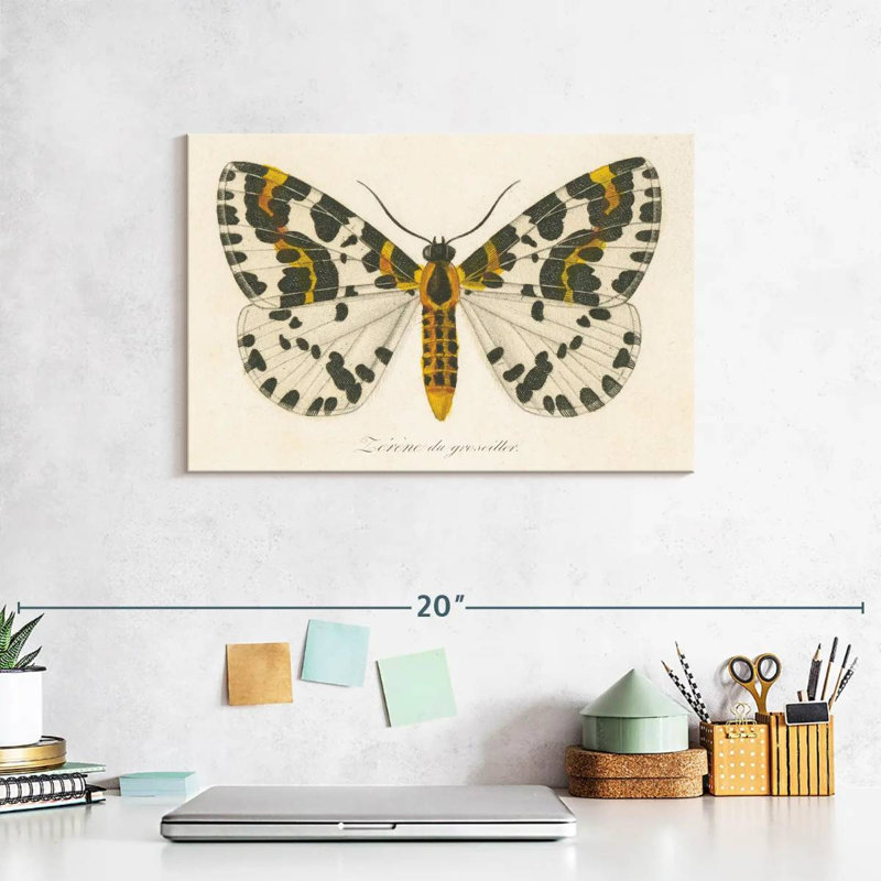 Brampt Natures Butterfly IV, 8" H x 12" W
