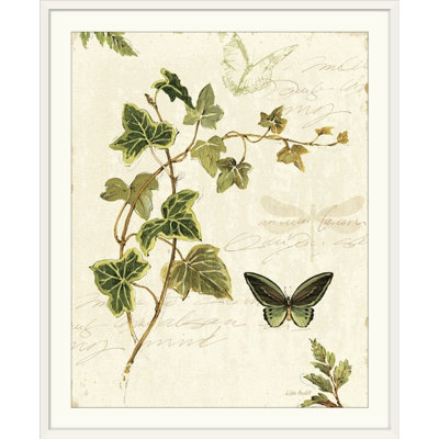 «Ivies and Ferns IV» par Lisa Audit, impression