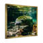 «Serene Sea Giant Portrait Of A Manatee» - Art mural lamantin-1361729527-1361729520