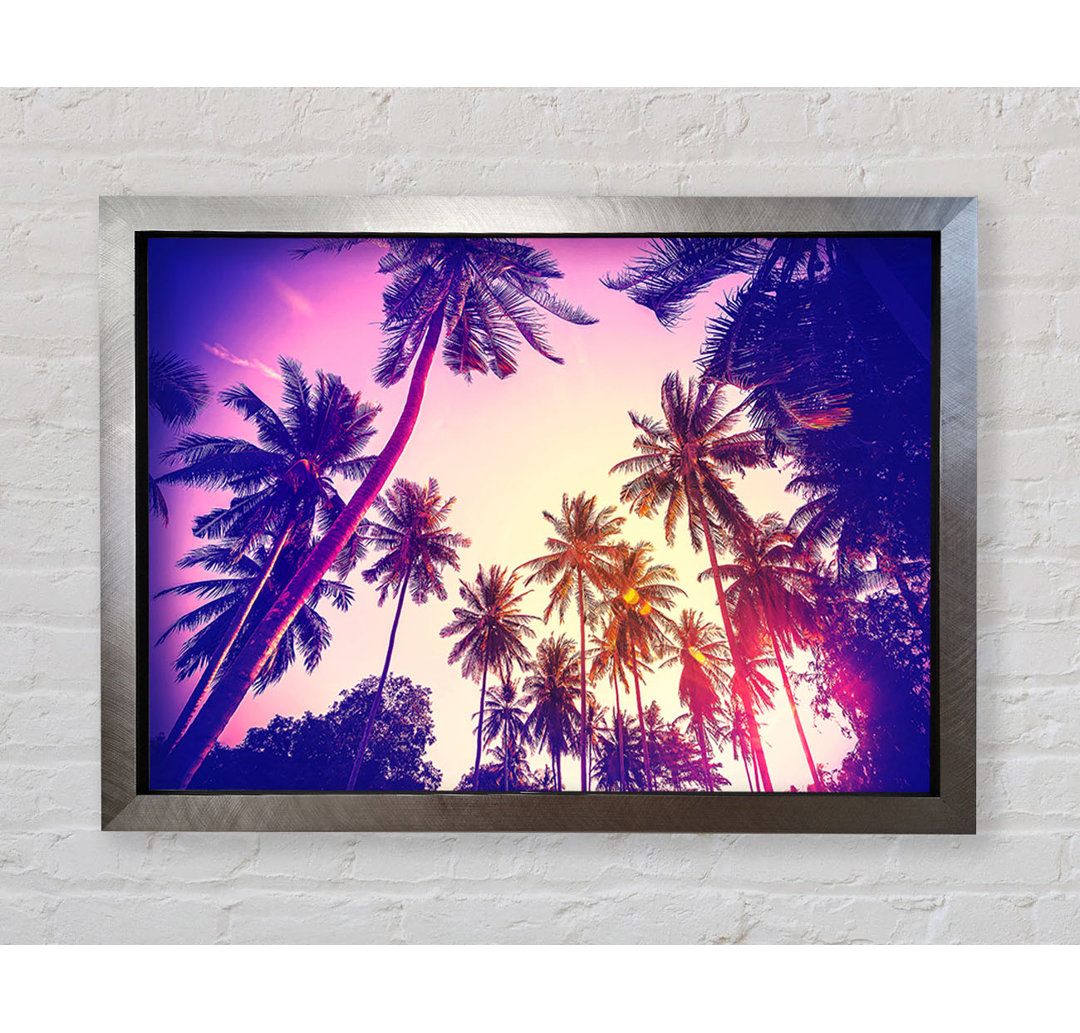 Palm Tree Glow Gerahmter Druck