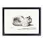 The Cat by Jean Bernard - Picture Frame Art Print-55639731-55639729
