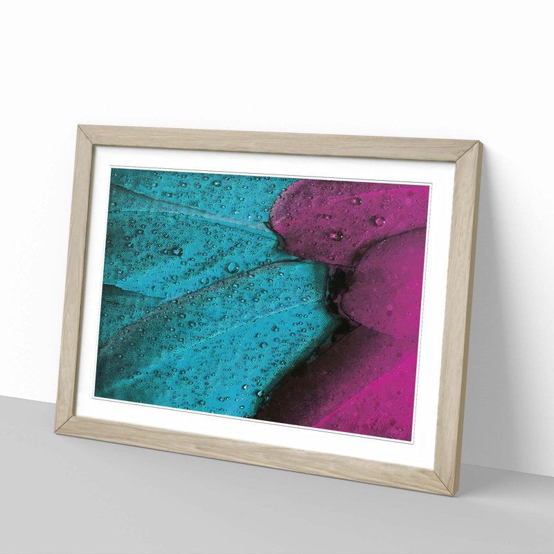 Plumage in Purple & Teal Blue - Picture Frame Graphic Art Print, Oak, 35cm H x 50cm W x 2cm D