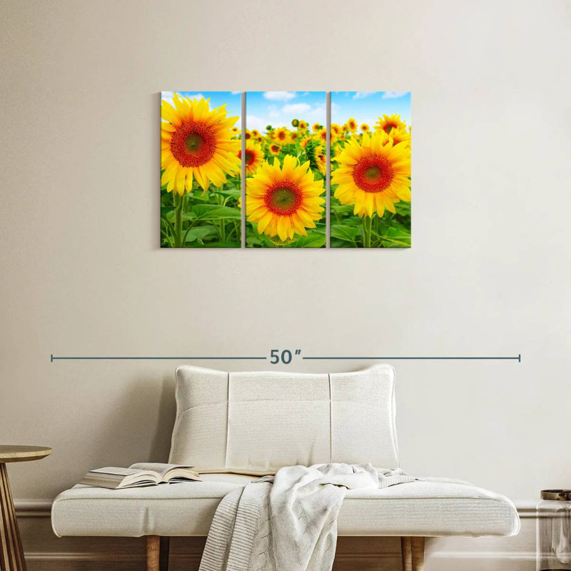 Champ de tournesols Alvord, H 20 po x l 33 po