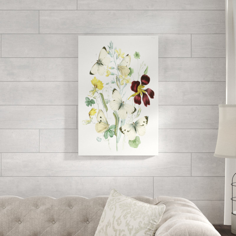 British Butterflies IV - Painting Print, 76cm H x 51cm W, Wrapped Canvas