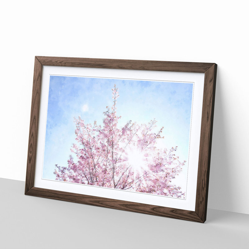 Pink Japanese Cherry Tree in Spring - Picture Frame Graphic Art Print, 33cm H x 45cm W x 2cm D, Walnut