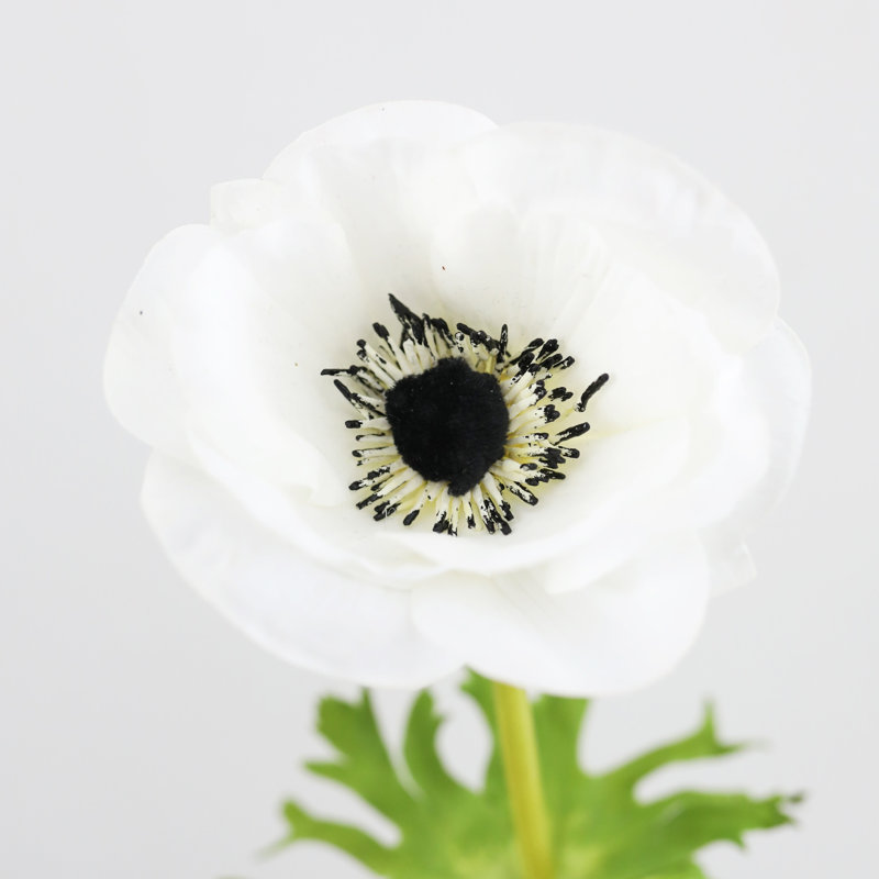 Real Touch Anemone Faux Floral, White