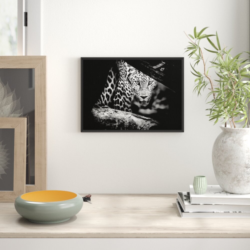 Gerahmtes Wandbild Neugieriger Gepard