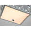 Alpha Square Flush Mount In Black-814022276