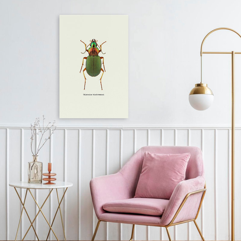 Coléoptère vert - art animaux et insectes, H 24 po x l 16 po