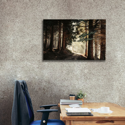 Millwood Pines 'Light Magic' by Dirk Wustenhagen Canvas Wall Art