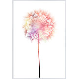 Colorful Dandelion' Framed Graphic Art Print on Canvas