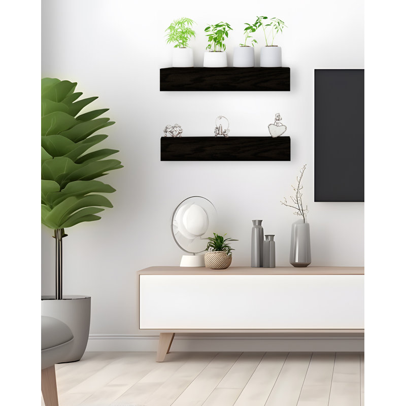 Rayne Floating Shelves Set of 2, H 5 po x l 24 po x P 8 po, Blanc