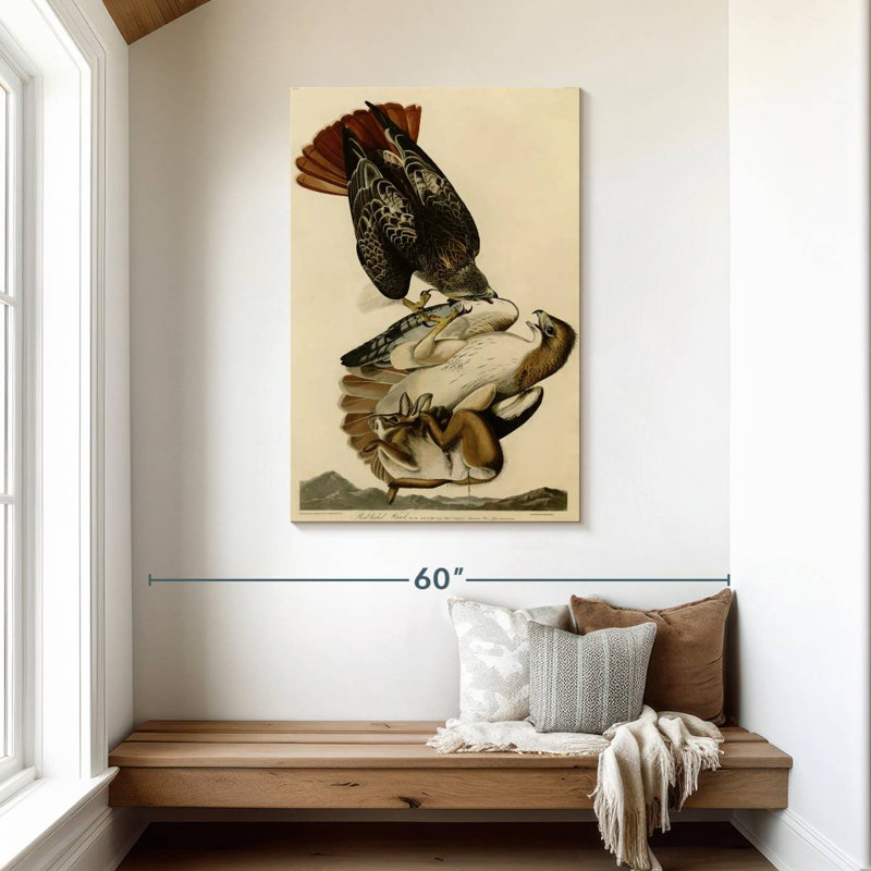 Buse à queue rousse des oiseaux d'Amérique, H 45 po x l 30 po