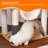 61.42'' H Cat Tree-98934567