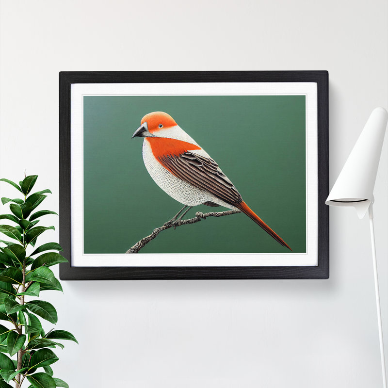Engaging Bird - Single Picture Frame Print, Black Framed, 34cm H x 46cm W x 2cm D