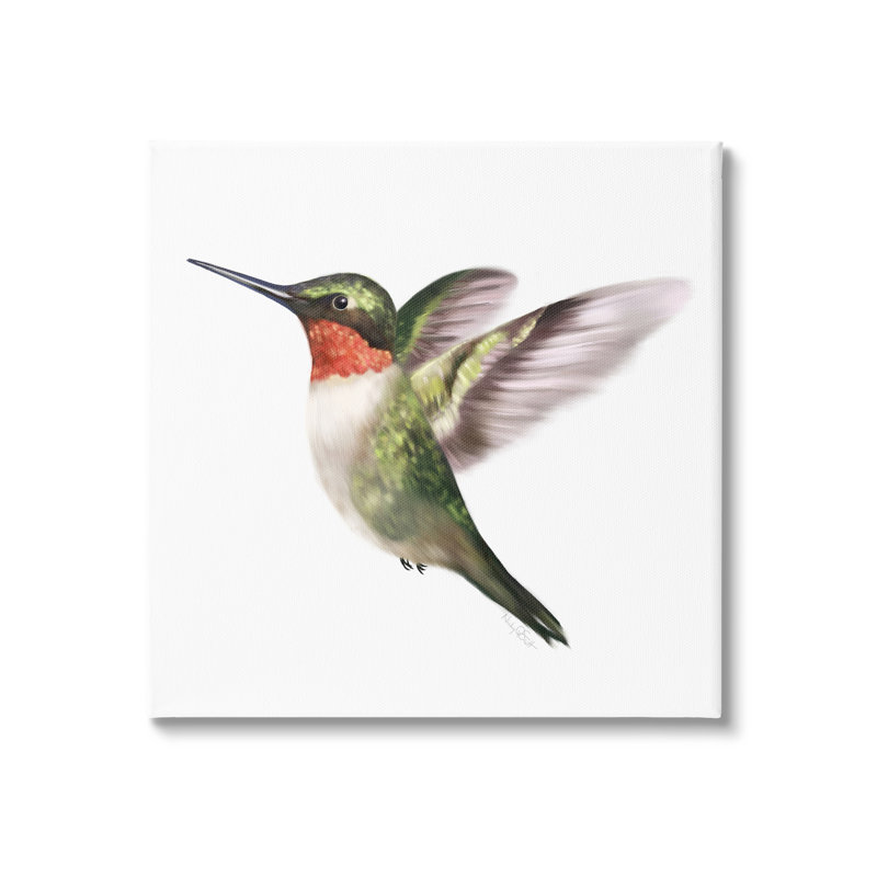 «Flying Hummingbird Wings», art décontracté sur toile tendue surdimensionnée par Studio Q an-055_cchelle24x24