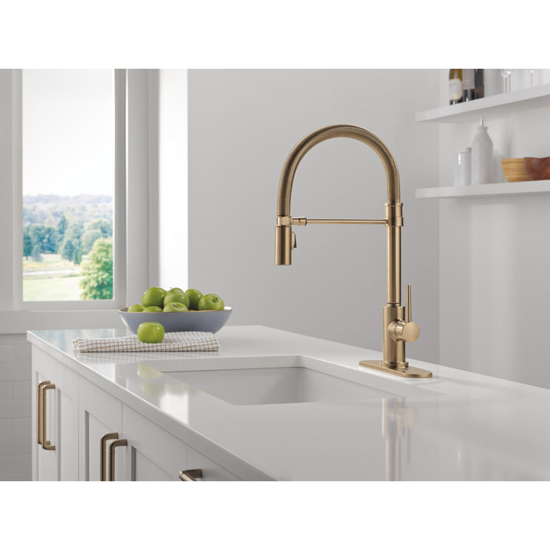 Robinet de cuisine Trinsic Pro Style, Bronze champagne
