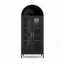 73'' Tall Metal Arched Cabinet, Modern Arch Kitchen Pantry Storage Cabinet with Glass Doors