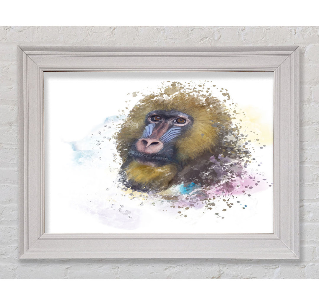 Mandrill Watercolour Splash - Einzelner Bilderrahmen Kunstdrucke